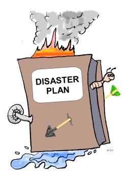 disaster preparedness strategy council